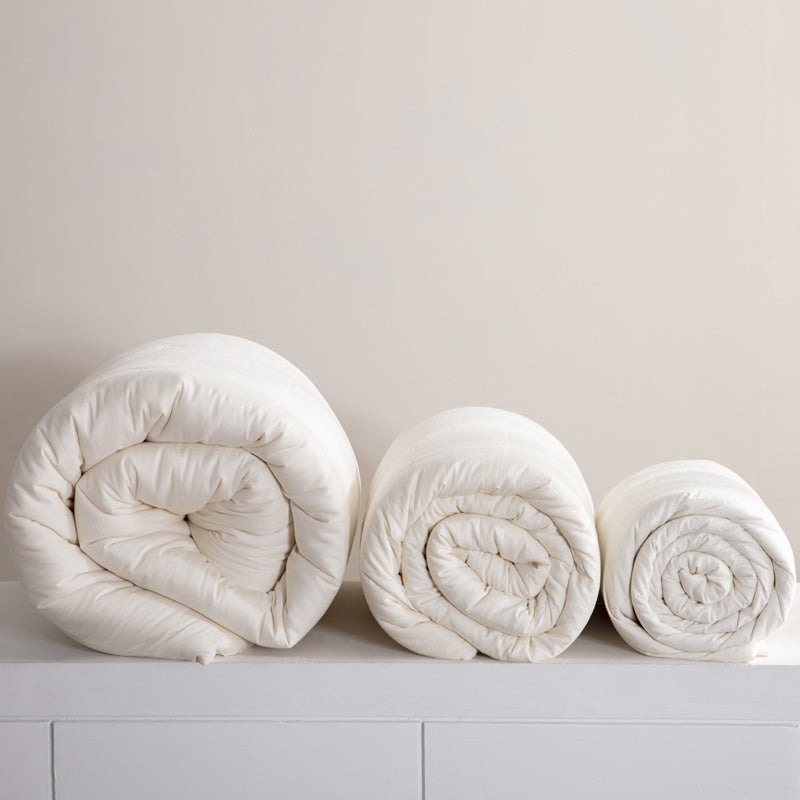 Single Double Spring And Autumn Quilt Antibacterial Quilt Core Cotton Winter